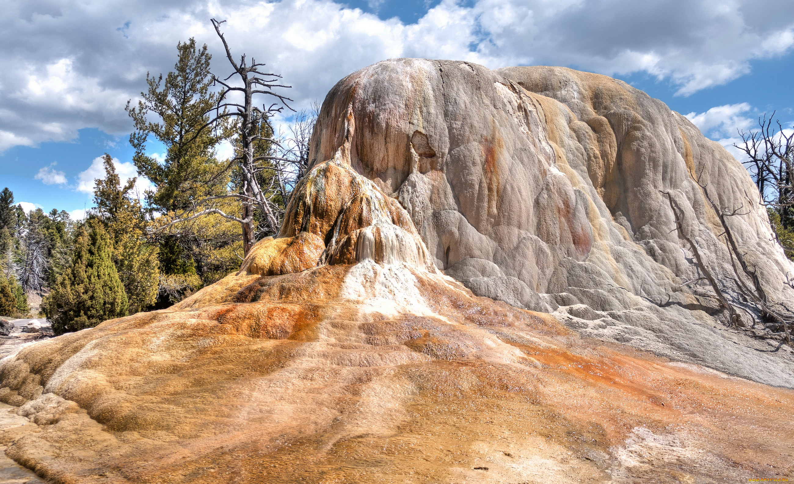 , , wyoming, 